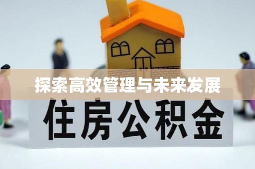 特克斯探索高效管理与未来发展