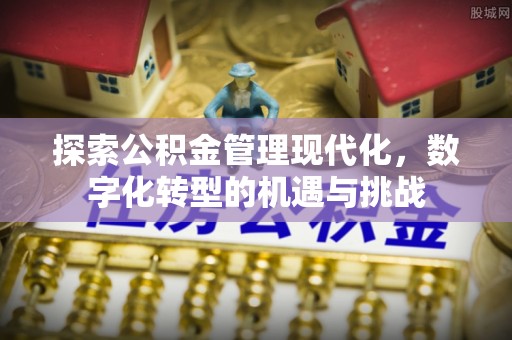特克斯探索公积金管理现代化，数字化转型的机遇与挑战