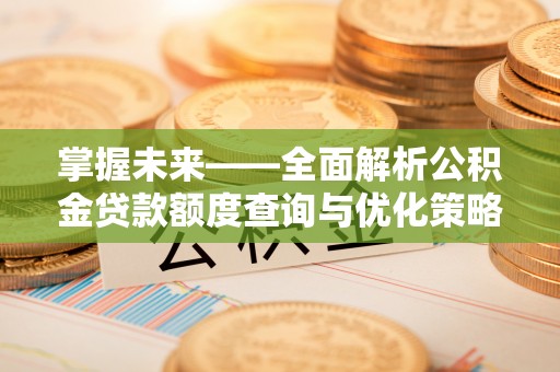 特克斯掌握未来——全面解析公积金贷款额度查询与优化策略