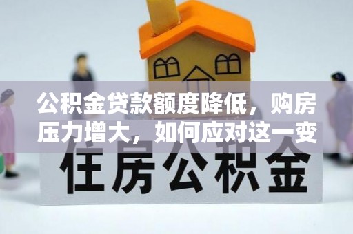 特克斯公积金贷款额度降低，购房压力增大，如何应对这一变化？
