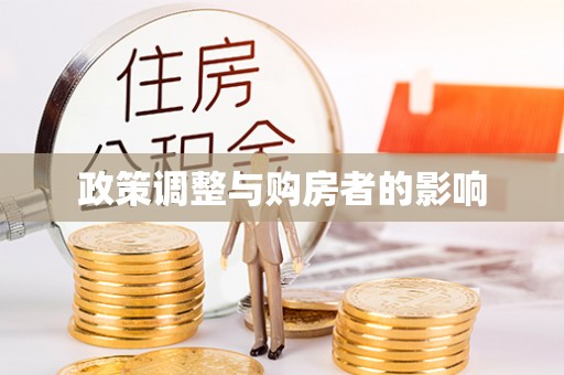特克斯政策调整与购房者的影响