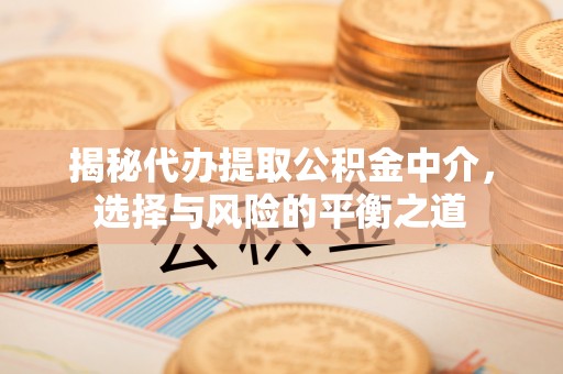 特克斯揭秘代办提取公积金中介，选择与风险的平衡之道