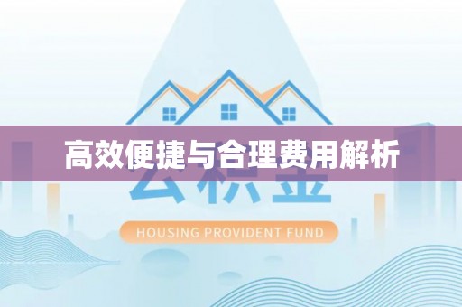 特克斯高效便捷与合理费用解析