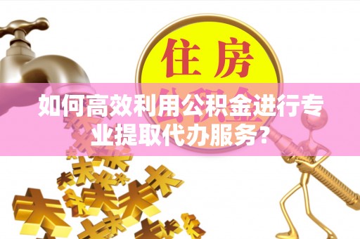 特克斯如何高效利用公积金进行专业提取代办服务？