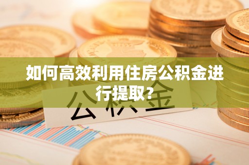 特克斯如何高效利用住房公积金进行提取？