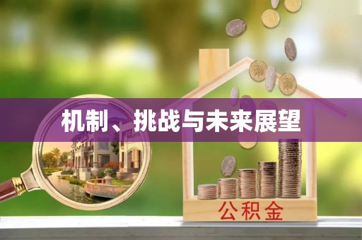 特克斯机制、挑战与未来展望